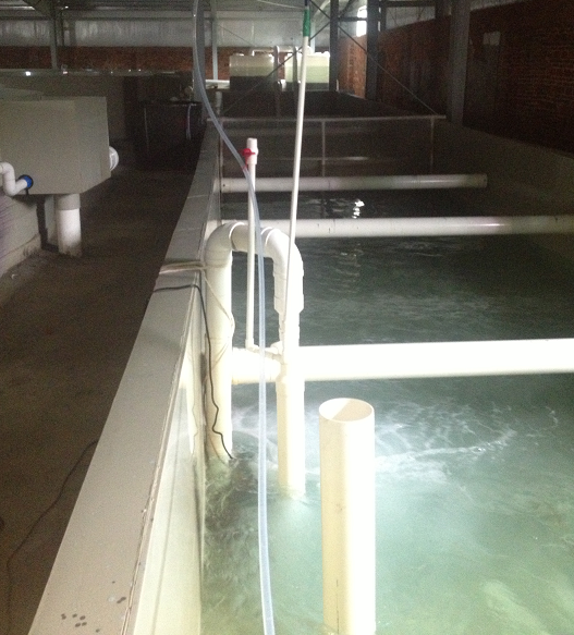 1611555405763598.png image.png