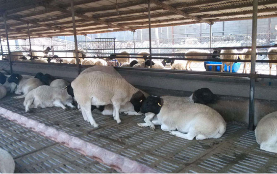 1614817547973697.png image.png