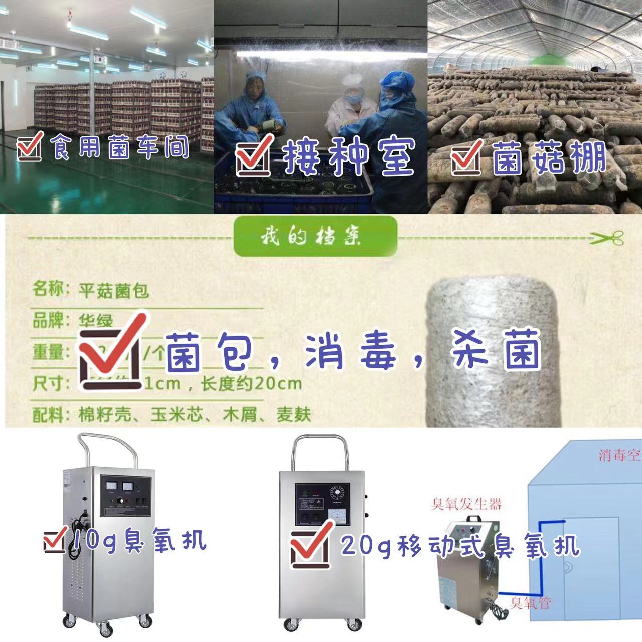 1639017666658804.jpg 食用菌原圖.jpg