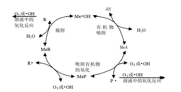 1645147184164416.png image.png